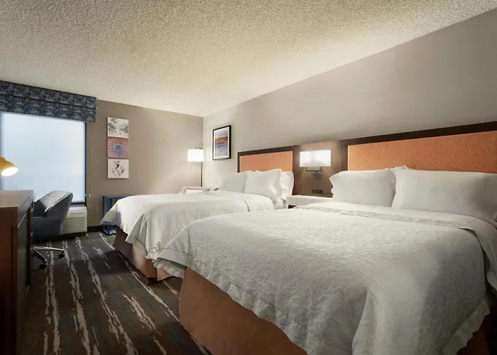 Hotel Hampton Phoenix-chandler Chandler