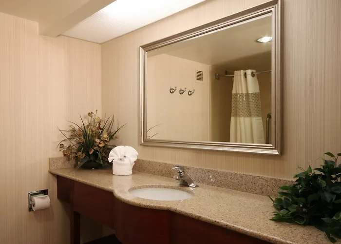 Hampton Phoenix-chandler Hotel